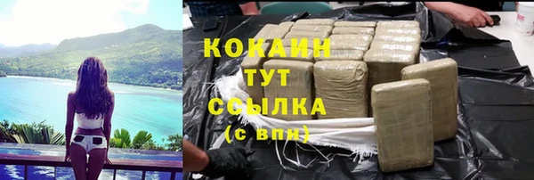 Альфа ПВП Верея