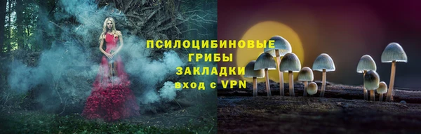 Альфа ПВП Верея