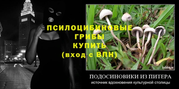 Альфа ПВП Верея