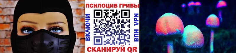 Псилоцибиновые грибы мицелий  Новоржев 